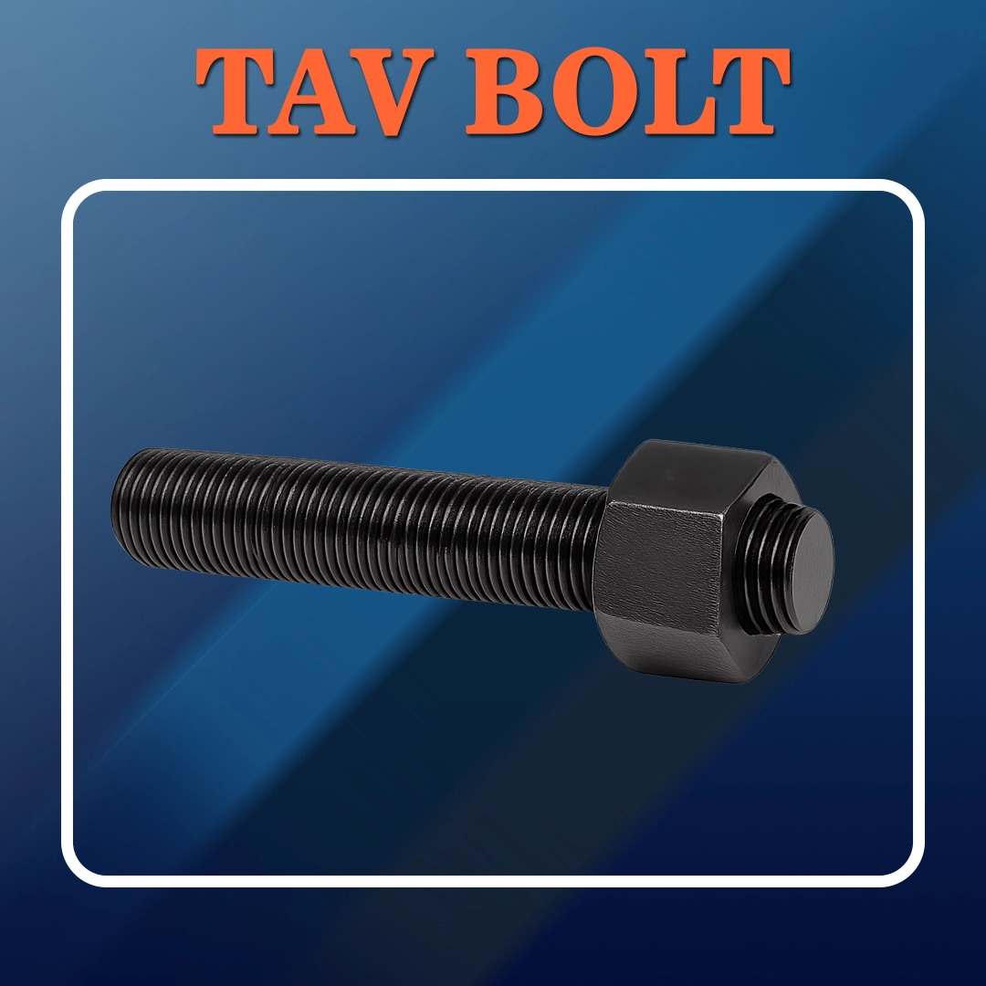 استاد بولت B7