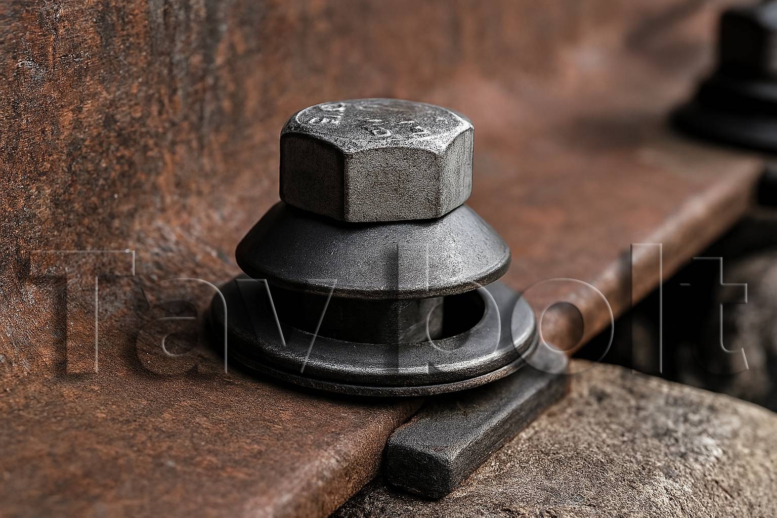 واشر بشقابی